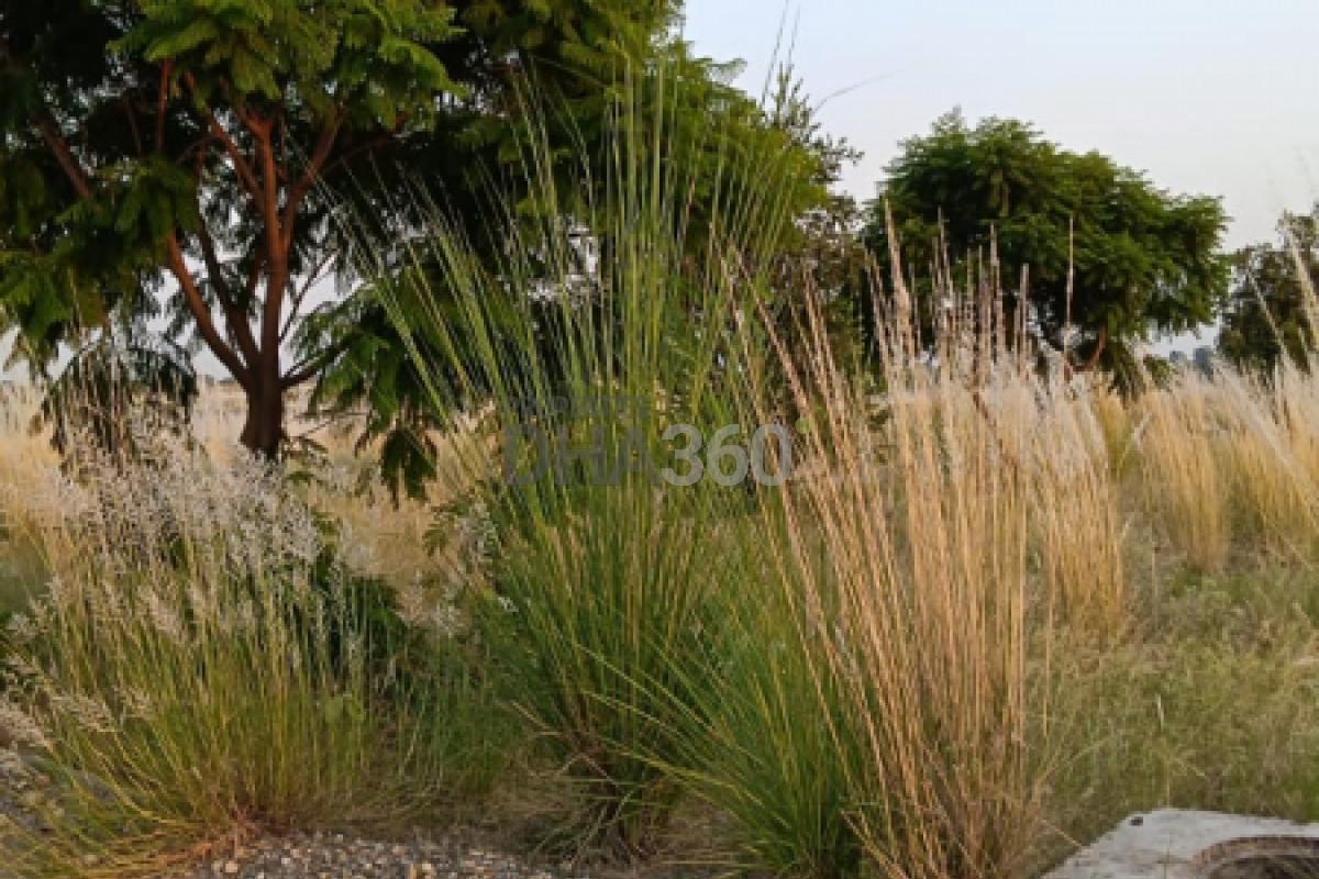 8 Marla Residential Plot for Sale